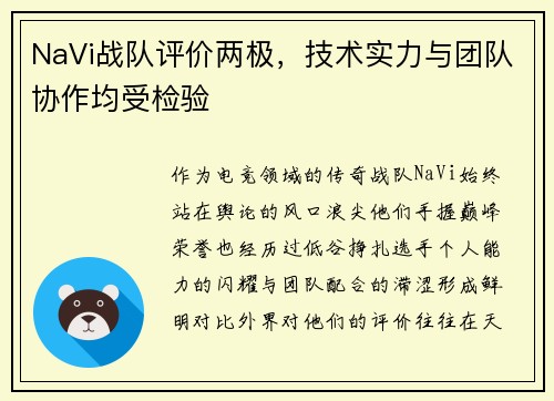 NaVi战队评价两极，技术实力与团队协作均受检验