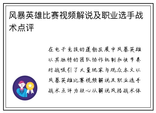 风暴英雄比赛视频解说及职业选手战术点评